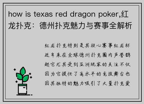 how is texas red dragon poker,红龙扑克：德州扑克魅力与赛事全解析
